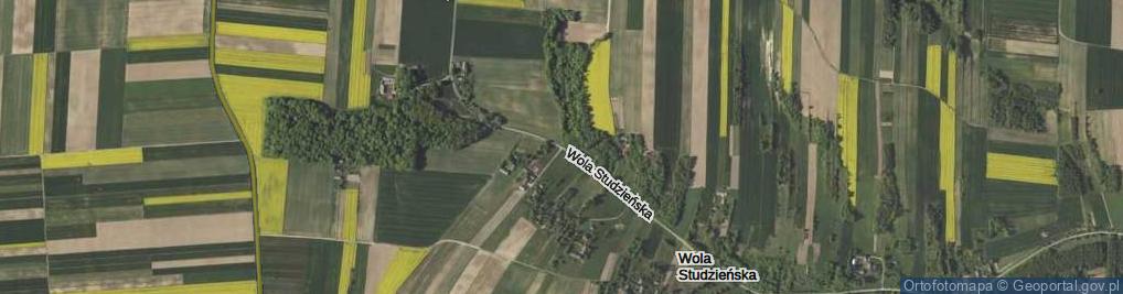 Zdjęcie satelitarne Wola Studzieńska ul.